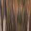thumbs/IMG_2974.jpg